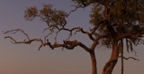 Seba - Mafunyane9 Seba - Mafunyane9